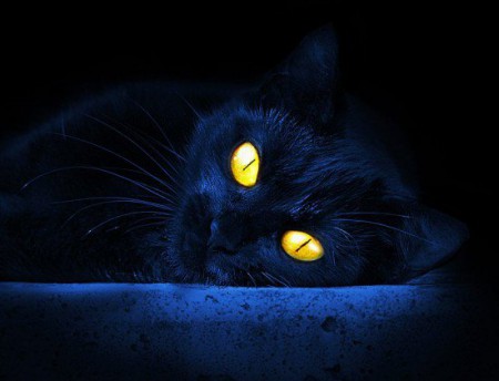 nera come la notte e buona come il sole